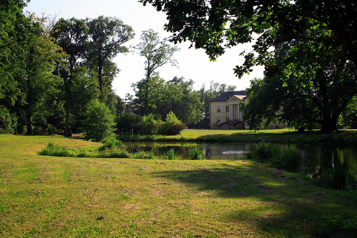 Dobrzyca